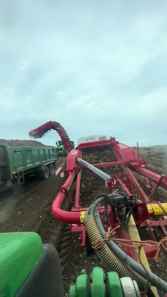 TikTok video thumbnail by jackrichards05