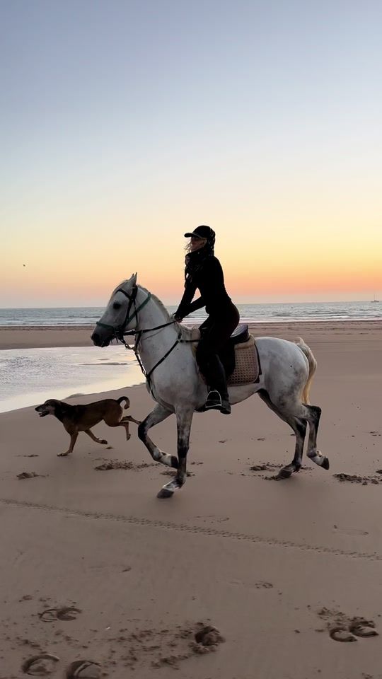 TikTok video thumbnail by louwithhorses