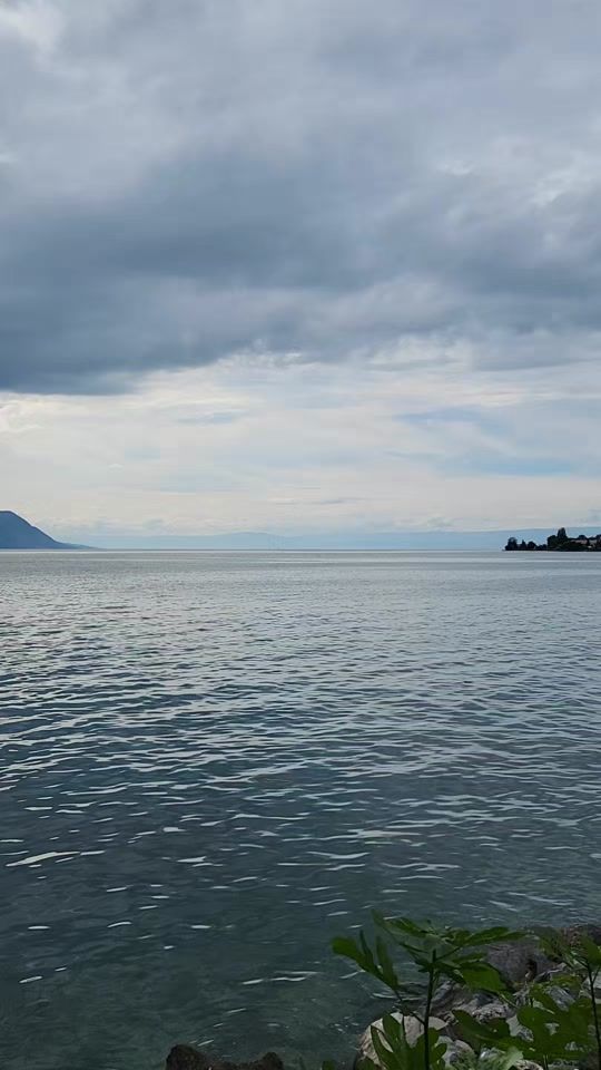 TikTok video thumbnail by user2238631069813