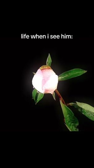 TikTok video thumbnail by user9527253917