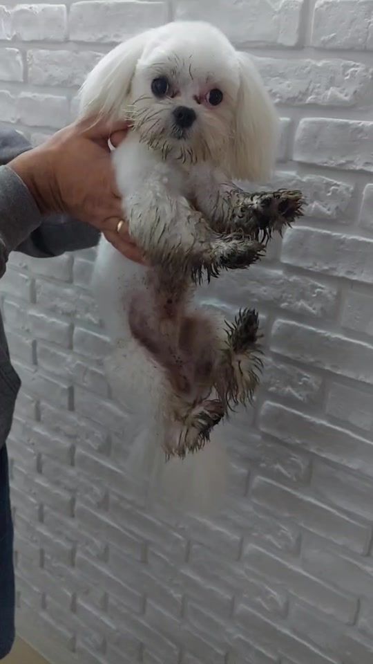 TikTok video thumbnail by rastimajkowski