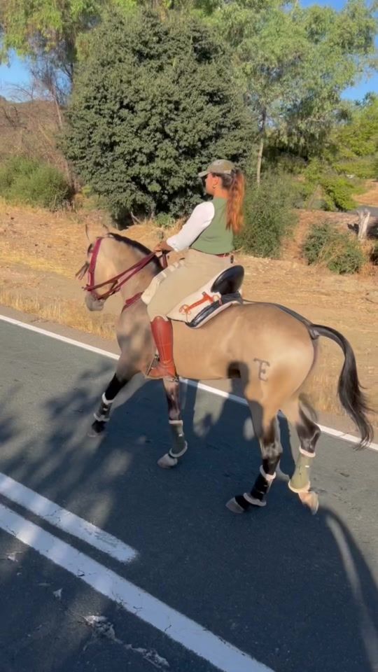 TikTok video thumbnail by caarmencondee