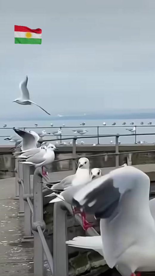 TikTok video thumbnail by hana1212120