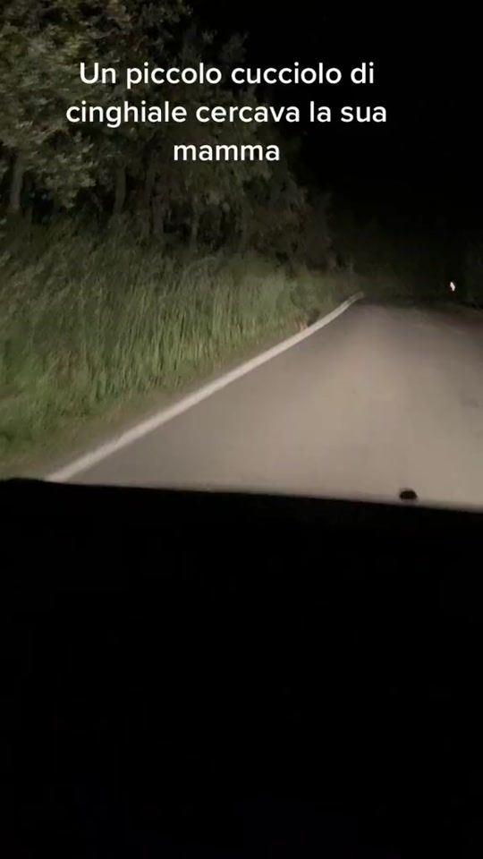 TikTok video thumbnail by gabrielestyle