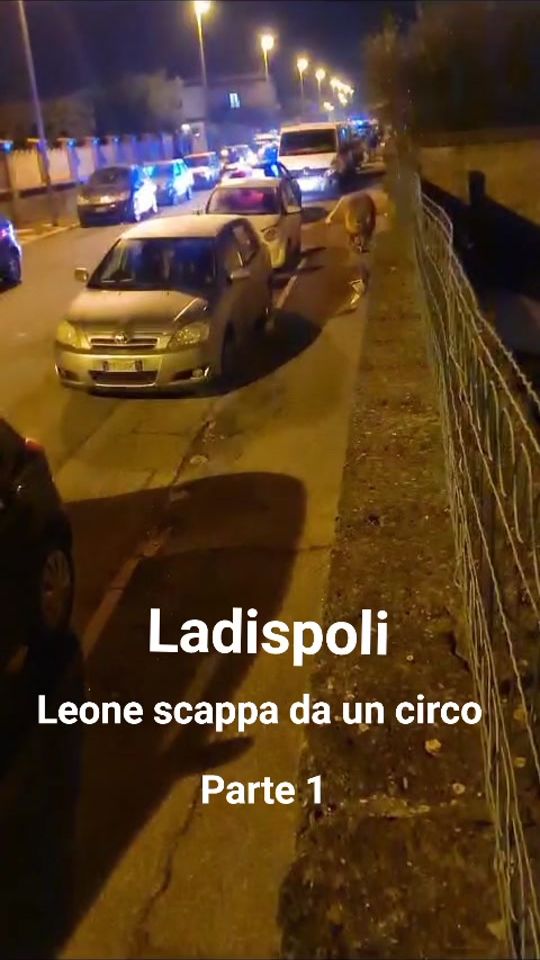 TikTok video thumbnail by davecapot