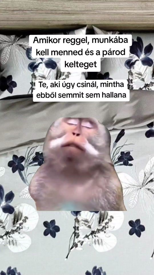 TikTok video thumbnail by dianayesiam