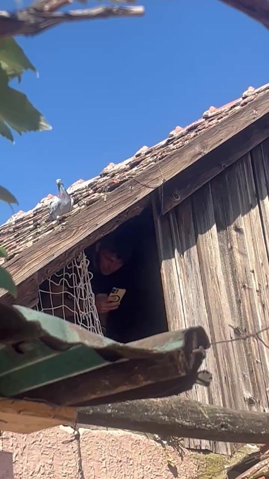 TikTok video thumbnail by kevinmarina793