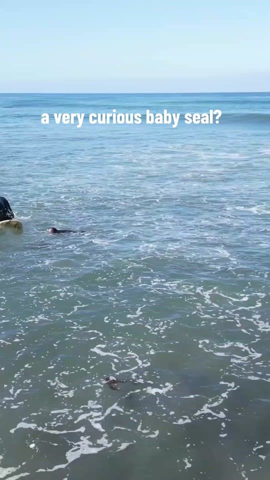 TikTok video thumbnail by terra.official_1