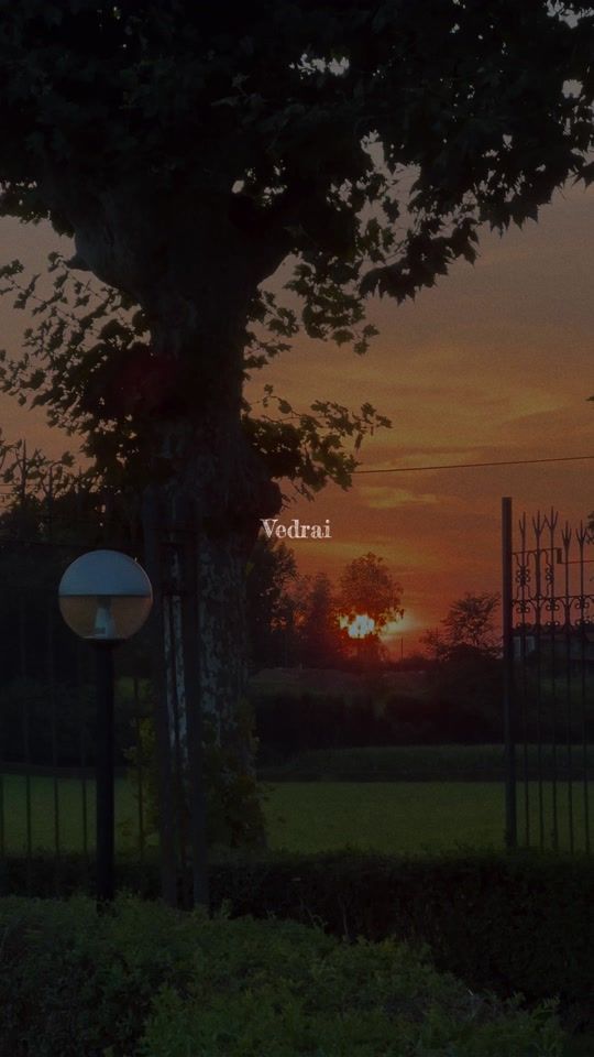 TikTok video thumbnail by melancholy.house