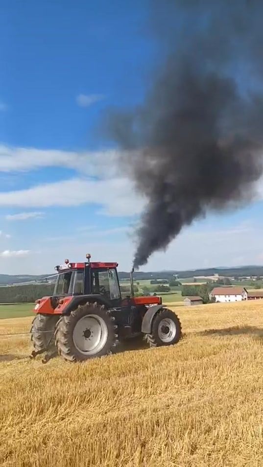 TikTok video thumbnail by andreasreitixger