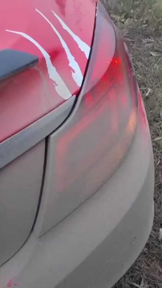 TikTok video thumbnail by ruu.13