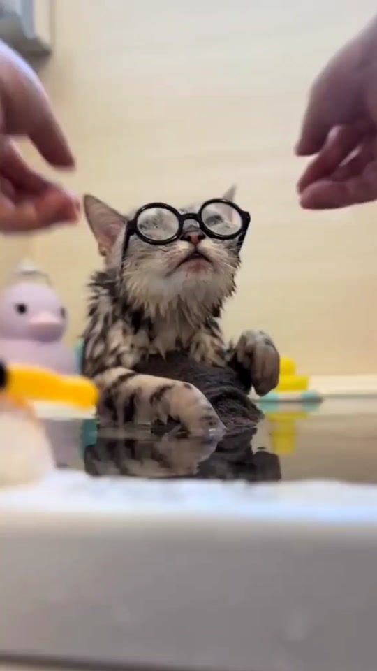 TikTok video thumbnail by microkittens