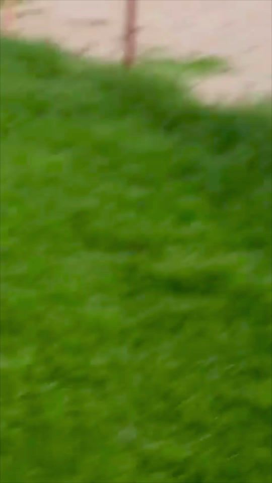 TikTok video thumbnail by mahdi090273