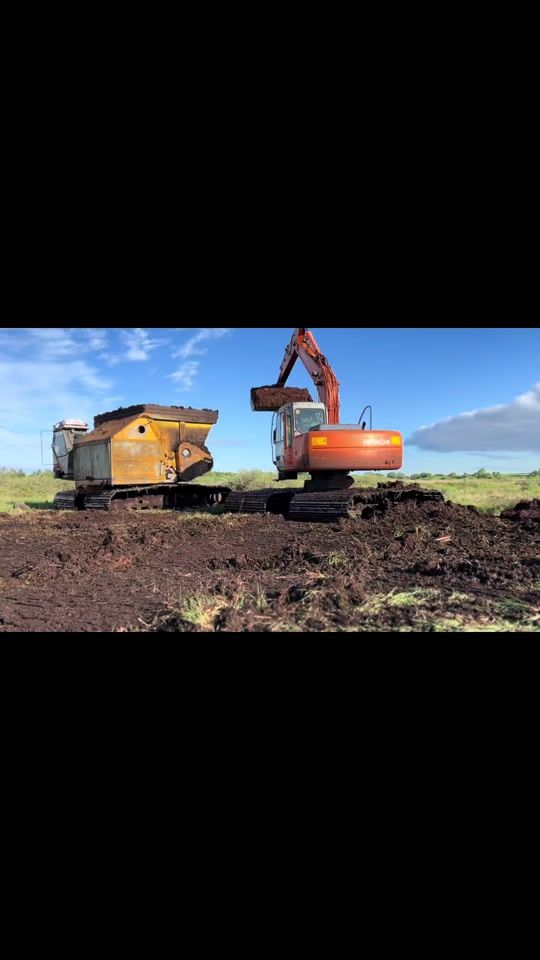 TikTok video thumbnail by nialldonohue3