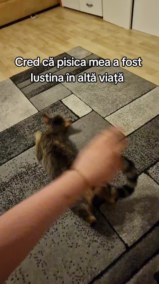 TikTok video thumbnail by btdns