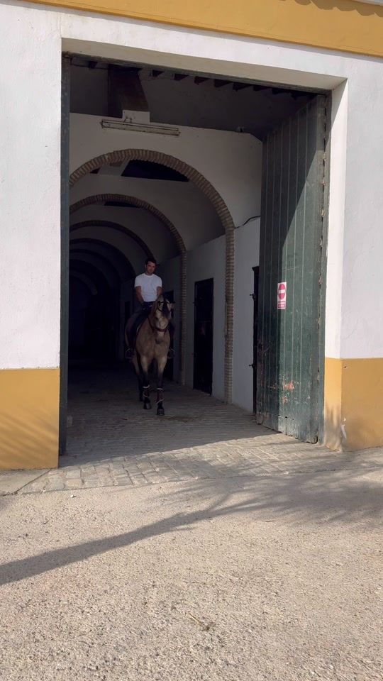 TikTok video thumbnail by joaquinguisado