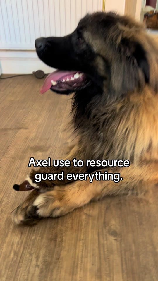 TikTok video thumbnail by kateandnala