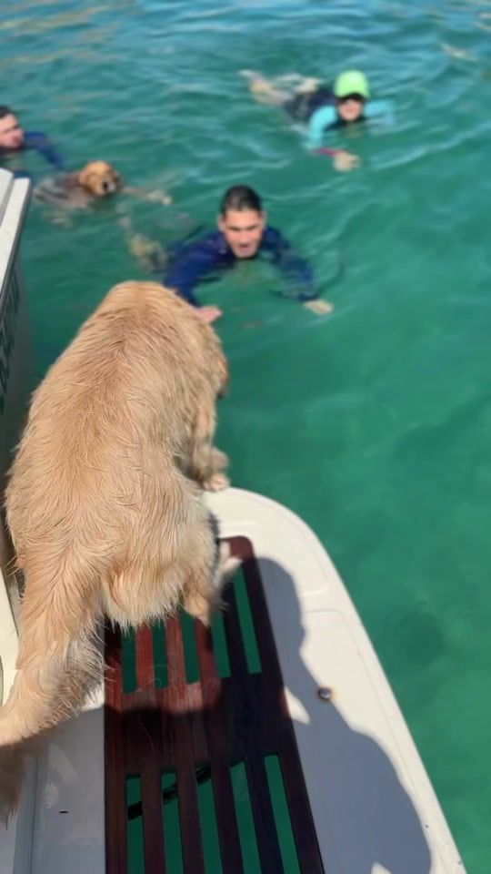 TikTok video thumbnail by luisreyesg9