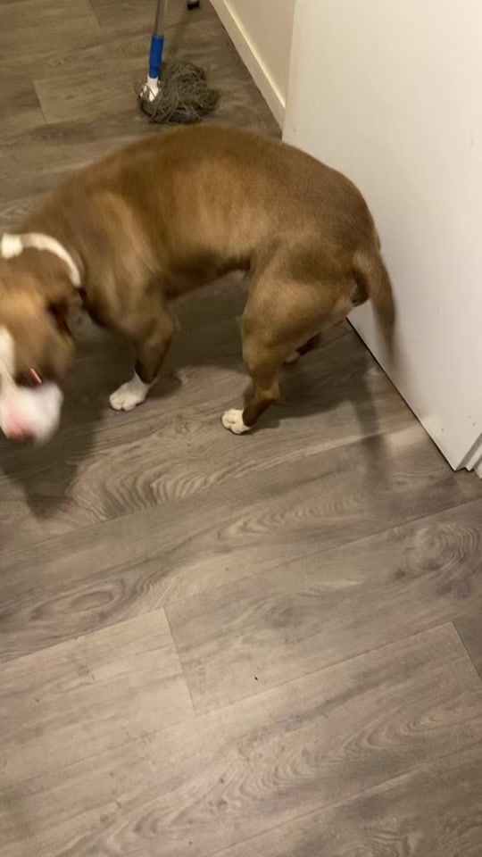 TikTok video thumbnail by jugement95