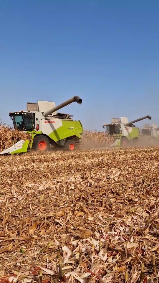 TikTok video thumbnail by atiagro