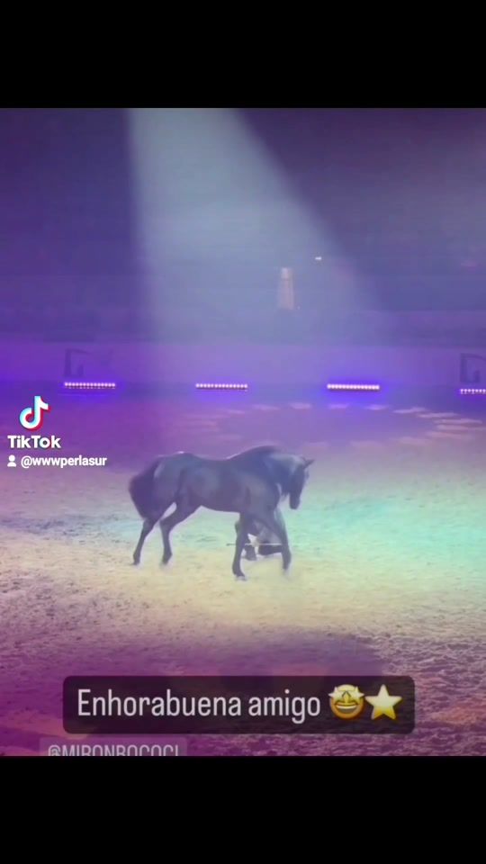 TikTok video thumbnail by wwwperlasur