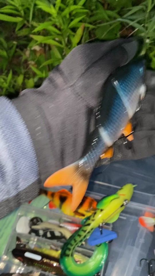 TikTok video thumbnail by fishing_till_