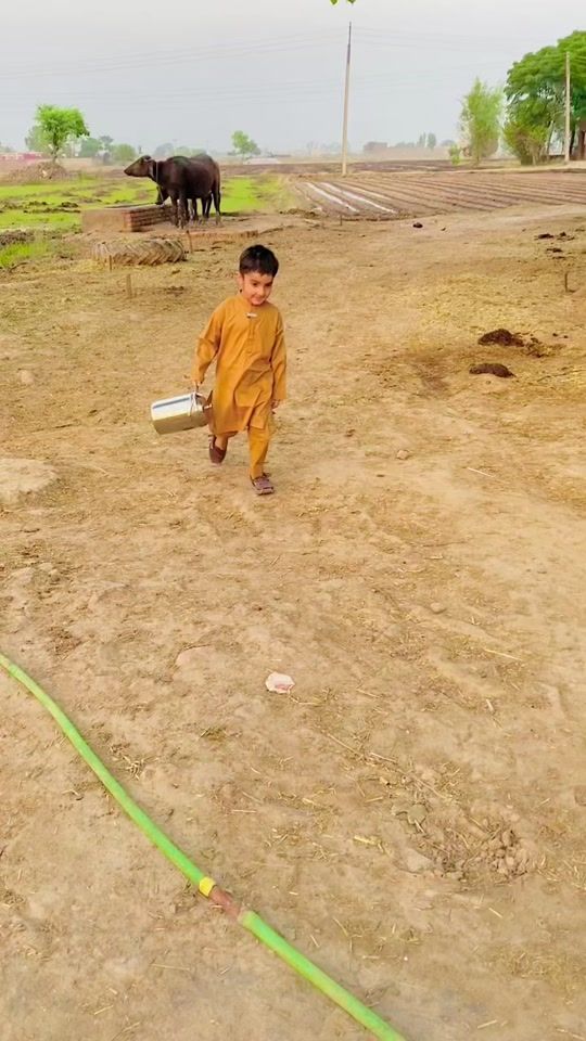 TikTok video thumbnail by azraimranofficial07