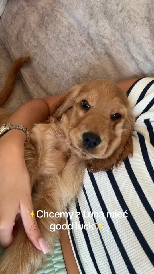 TikTok video thumbnail by dudaxo