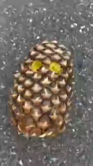 TikTok video thumbnail by xlebdev