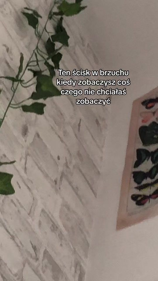 TikTok video thumbnail by ..userrsorry