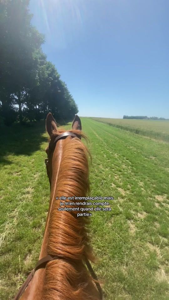 TikTok video thumbnail by lou.rndlee