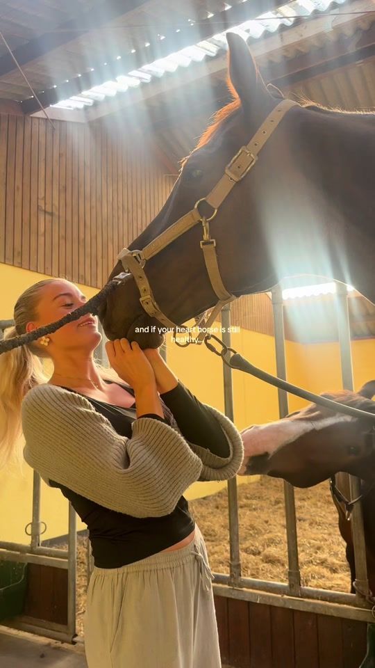 TikTok video thumbnail by engelhardtequestrian