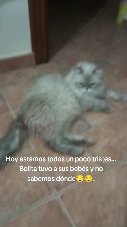 TikTok video thumbnail by anabelenmm7