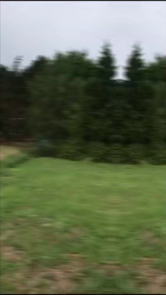 TikTok video thumbnail by kikolak33