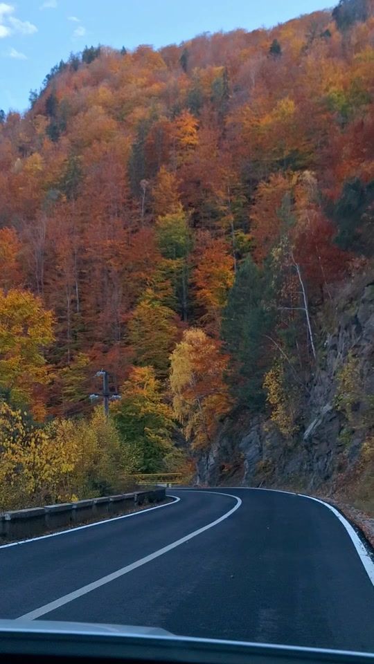 TikTok video thumbnail by alinaneagu2010