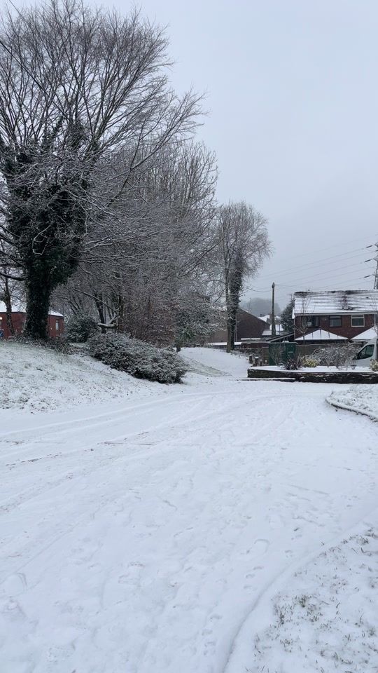 TikTok video thumbnail by googleve0o