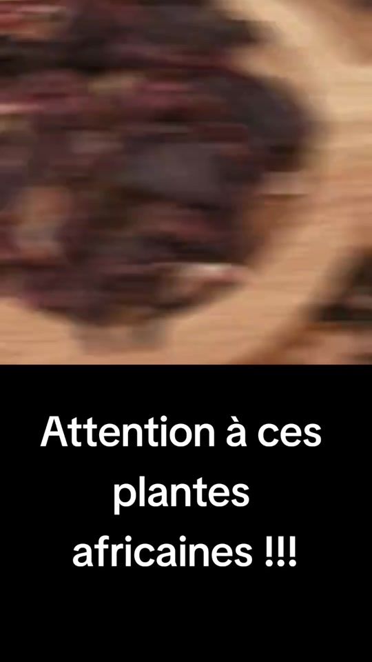TikTok video thumbnail by hijama_ivoire