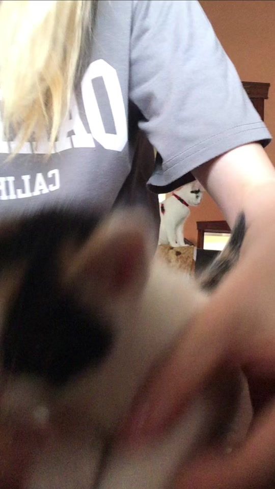 TikTok video thumbnail by laurayaki08