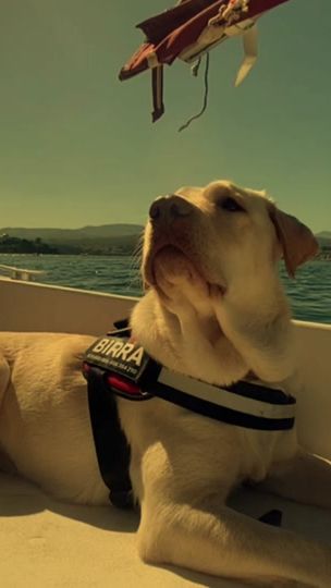 TikTok video thumbnail by katiavalencianno