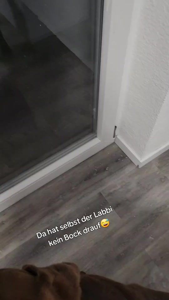 TikTok video thumbnail by bella17012020