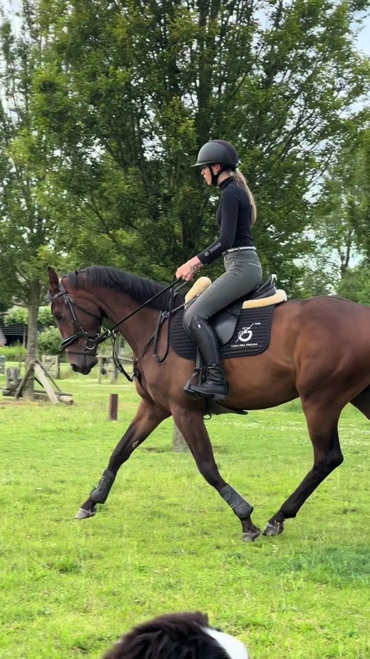 TikTok video thumbnail by valerie.dijs_