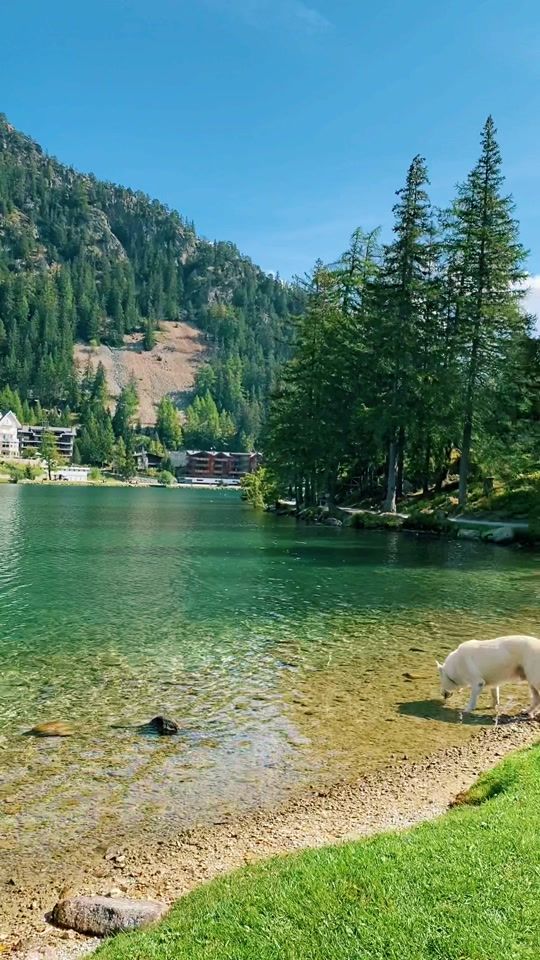 TikTok video thumbnail by milacoelho.66