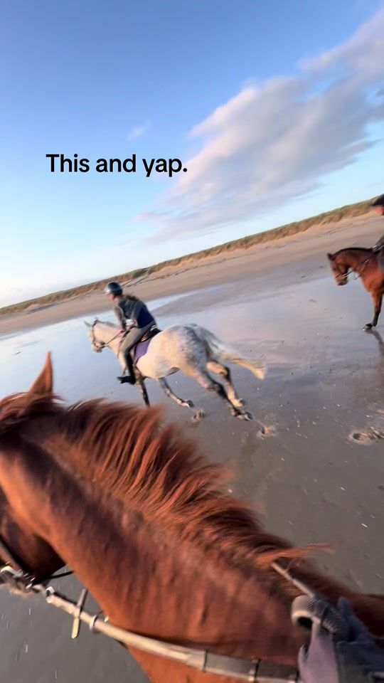 TikTok video thumbnail by imi_eventing