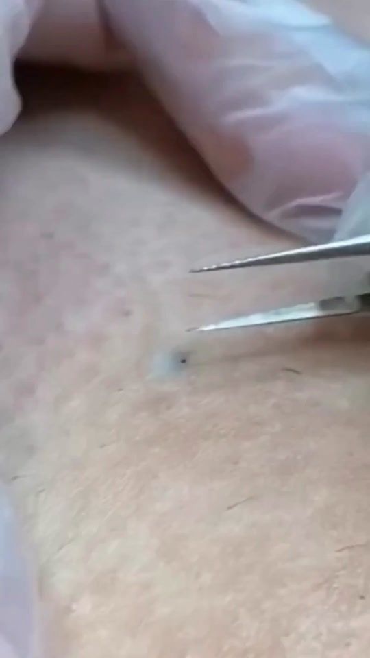 TikTok video thumbnail by scclike2022