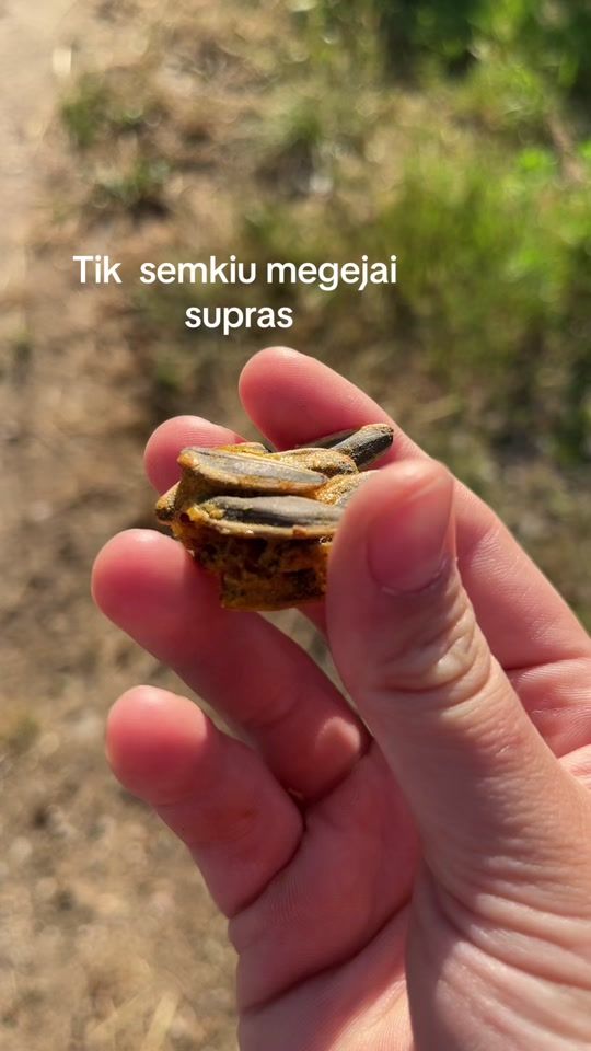 TikTok video thumbnail by ziurk1ke_