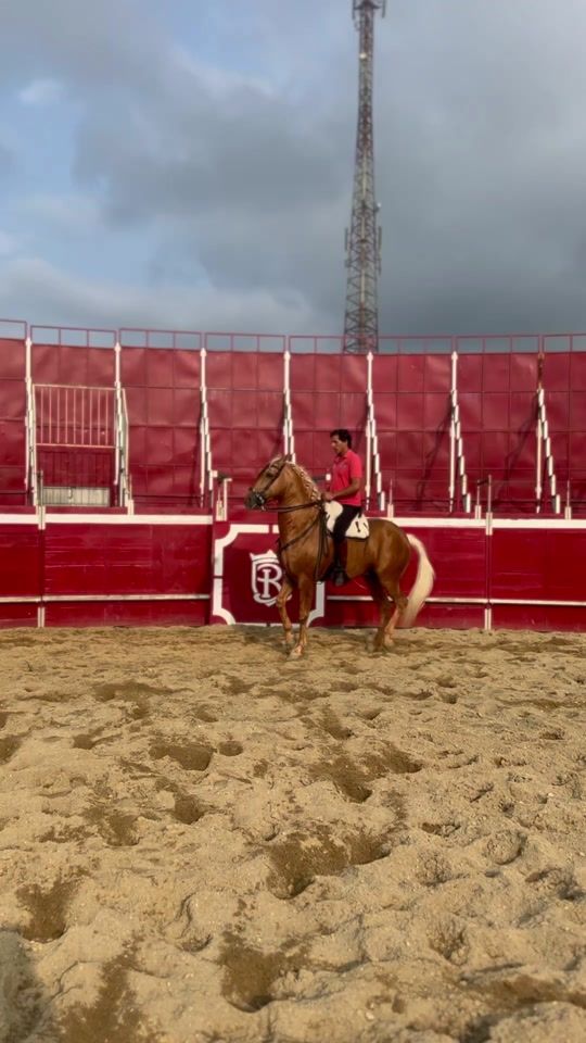 TikTok video thumbnail by oscarborjas_oficial