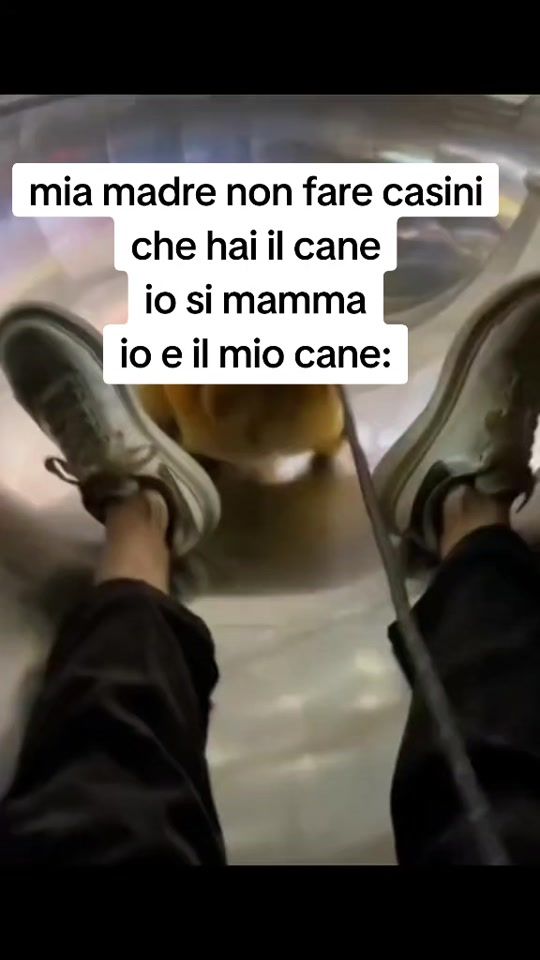TikTok video thumbnail by gabbo128