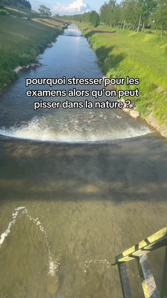 TikTok video thumbnail by swisspiss