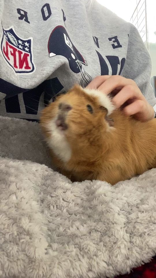 TikTok video thumbnail by mr_hobnob