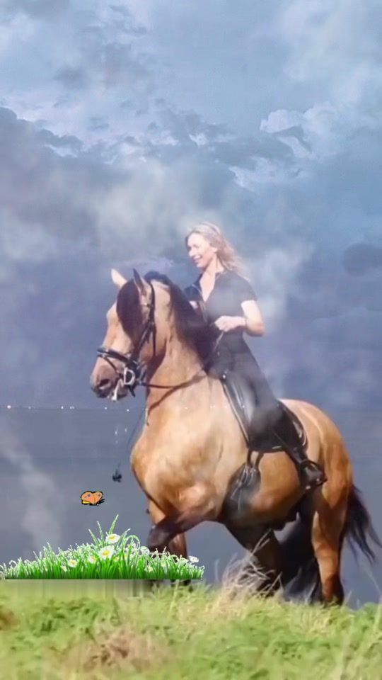 TikTok video thumbnail by sirene401